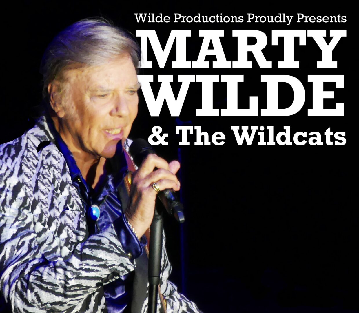 Marty Wilde And The Wildcats